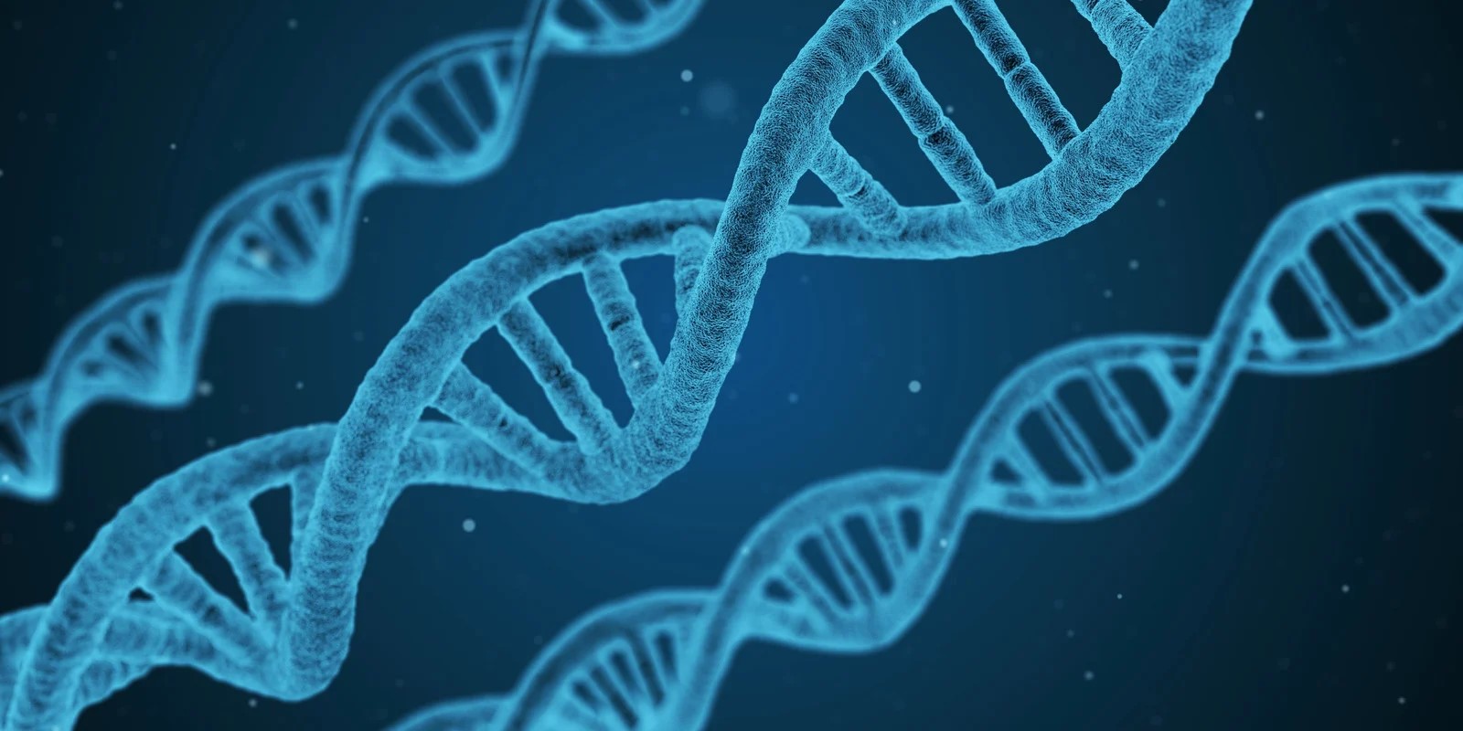 DNA Image