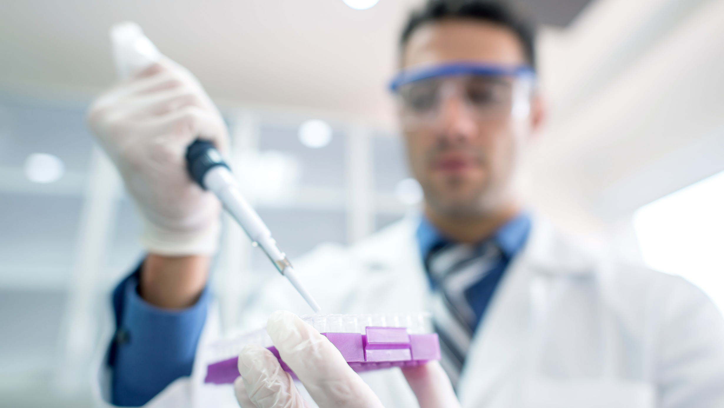 Research Purple Large