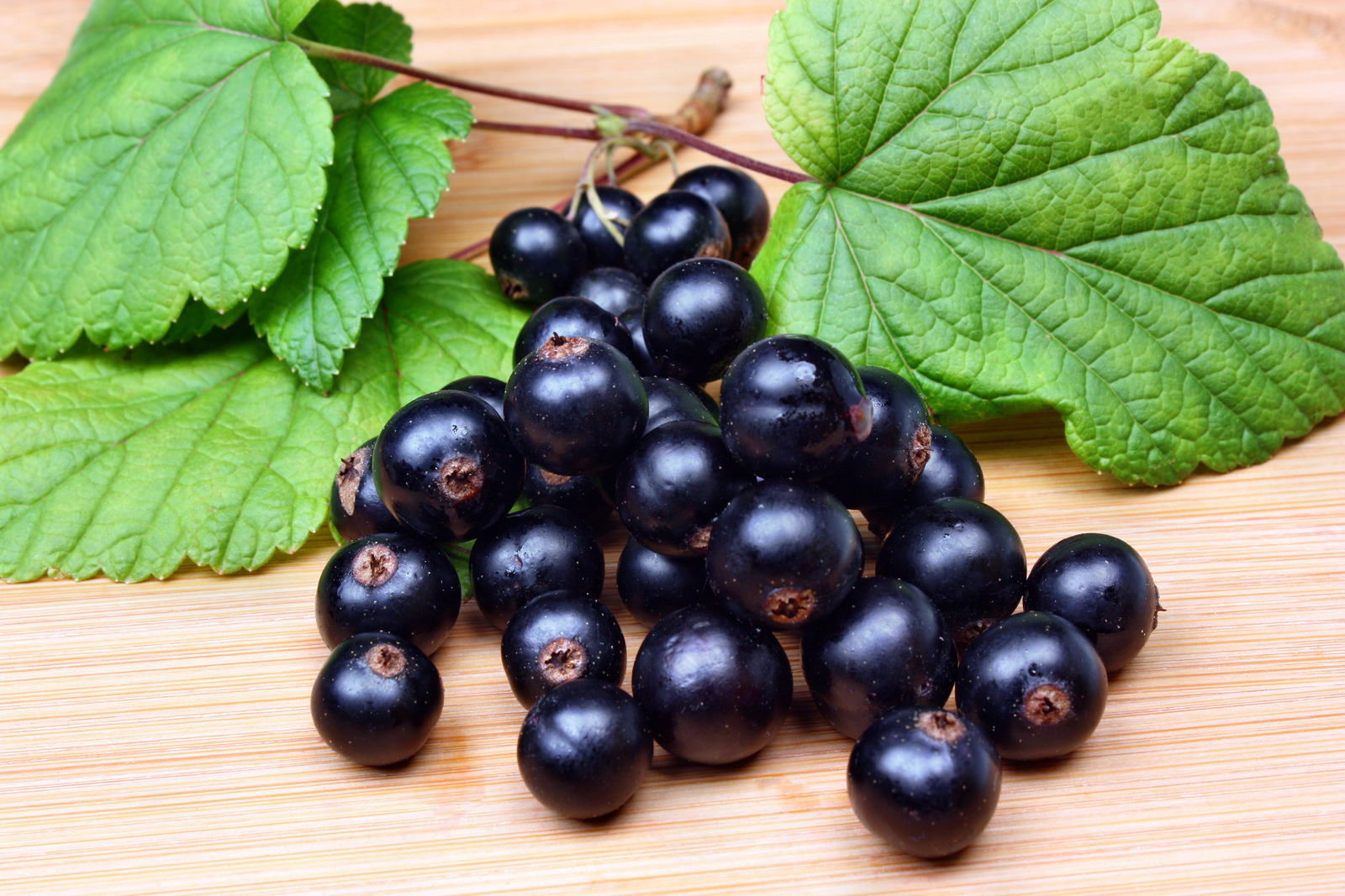 Blackcurrants