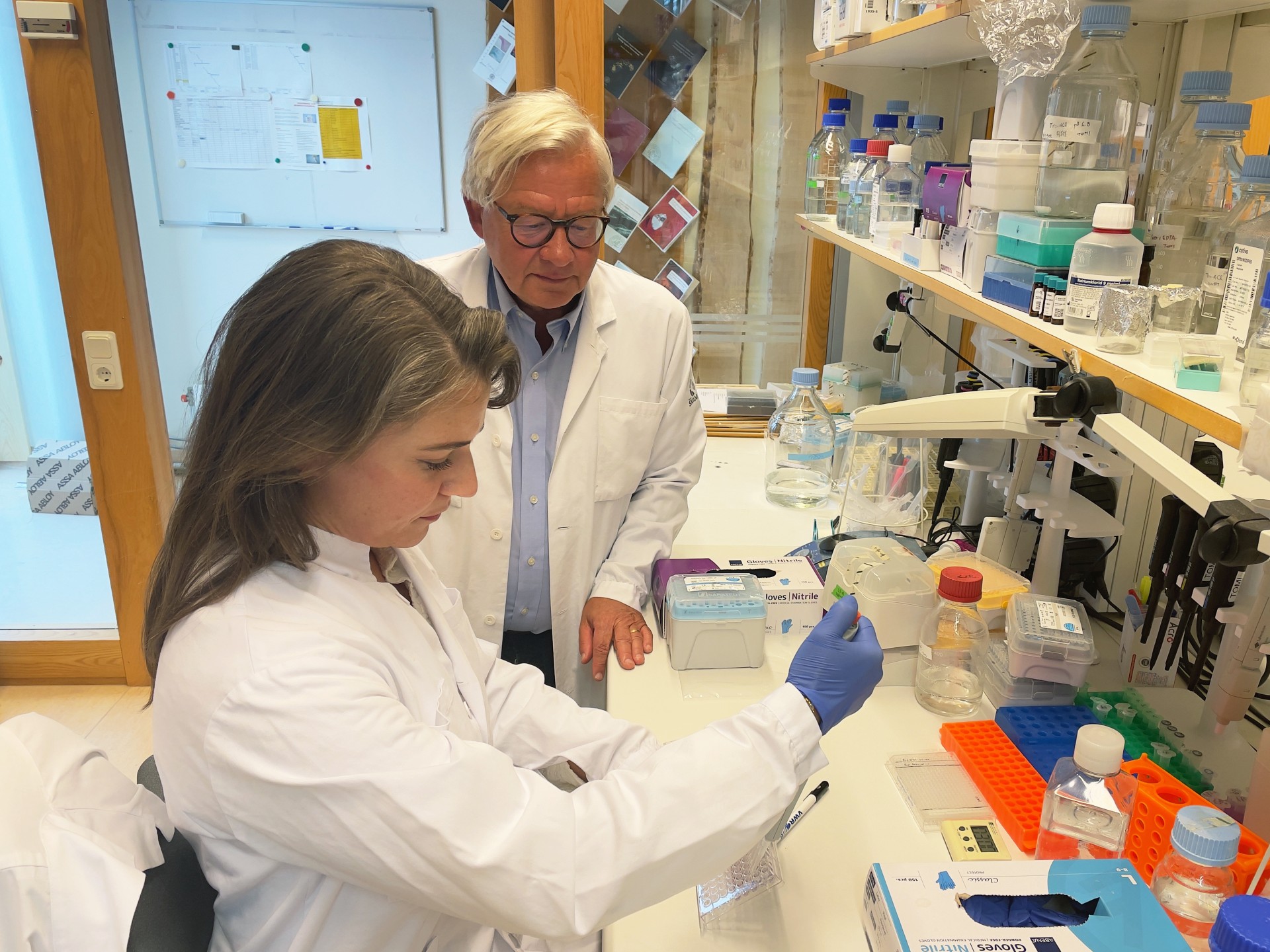 Jan Nilsson Filiz Serifler