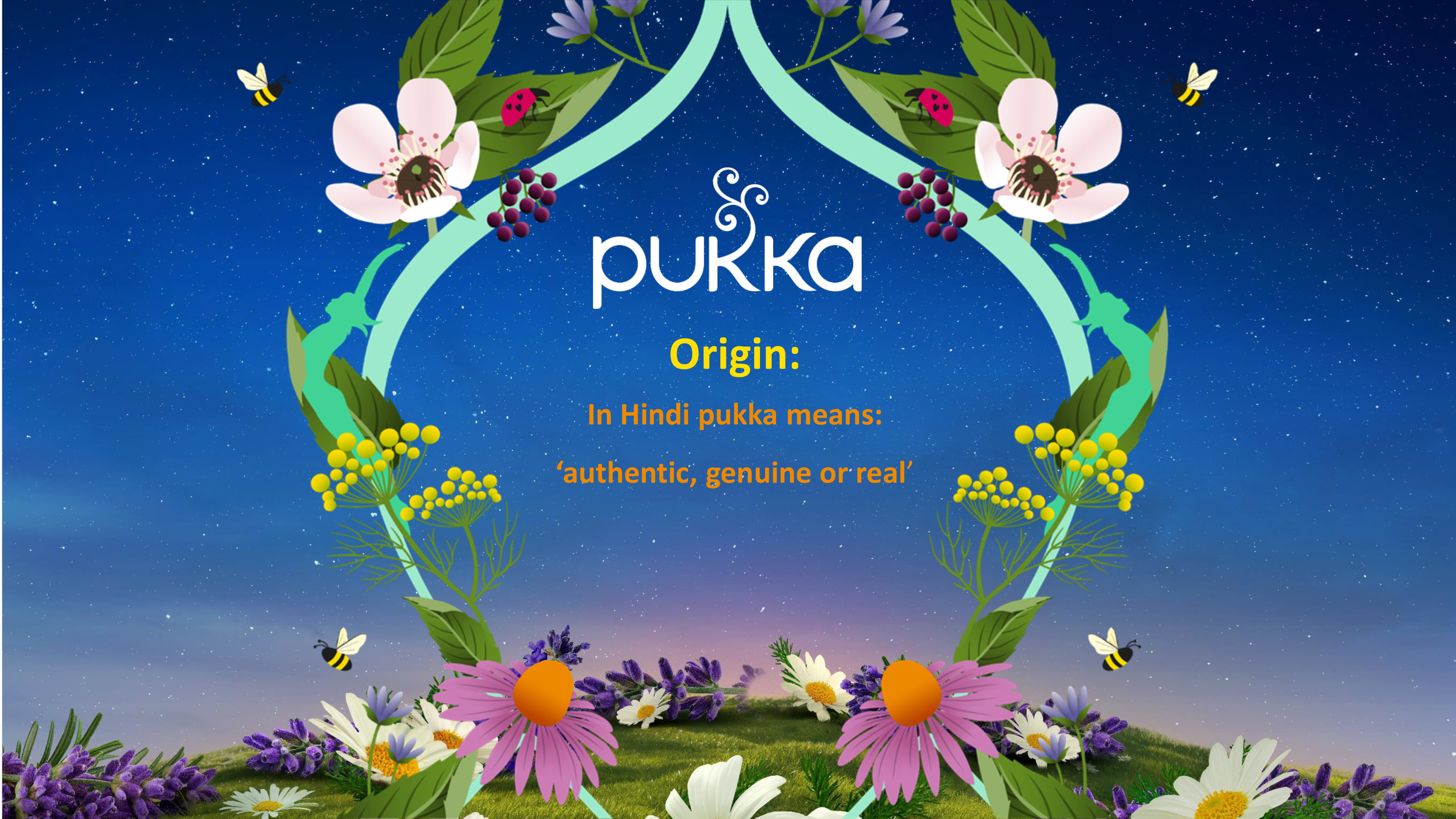 Marion Mackonochie Pukka Herbs 1