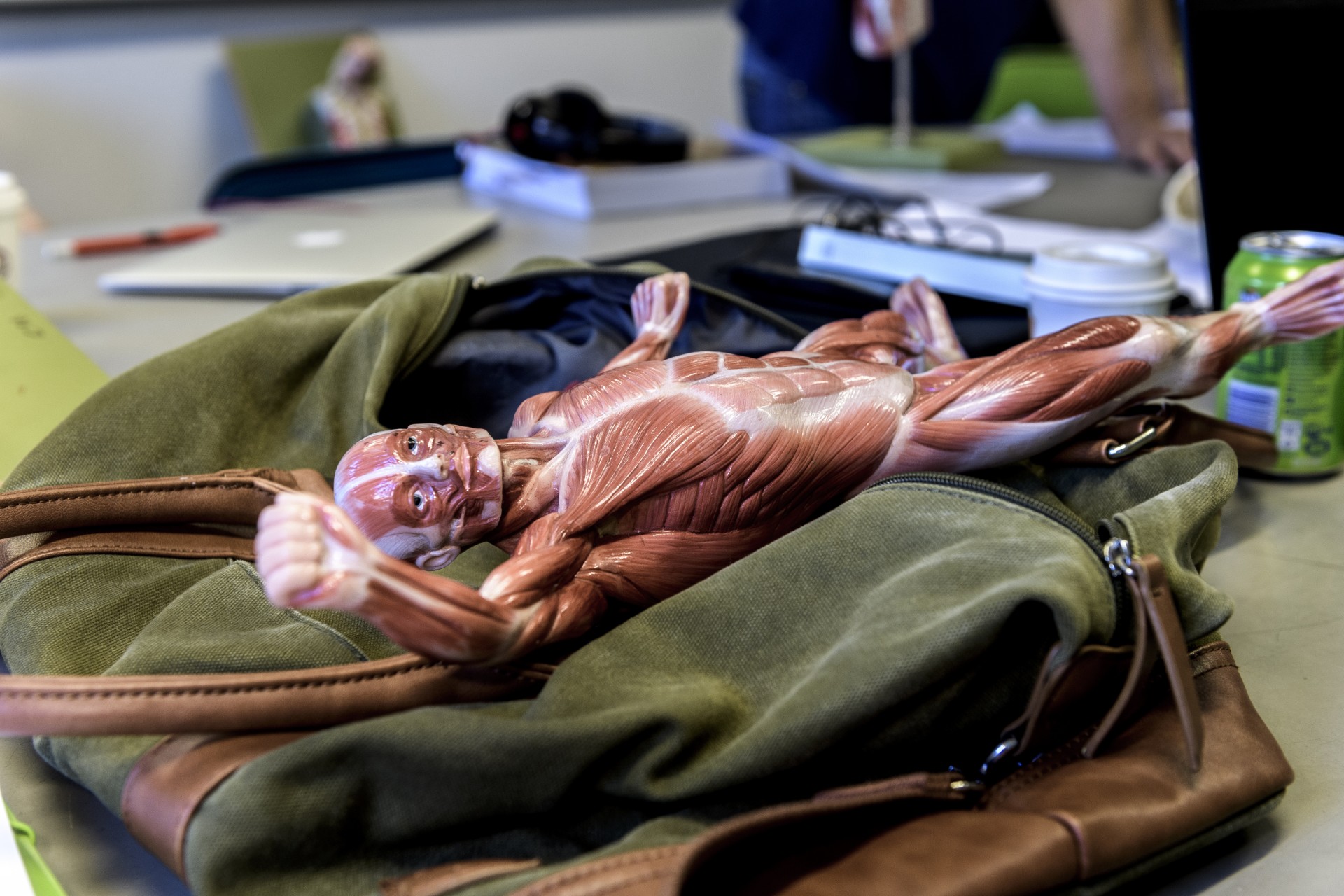 Medicinskafakulteten,Bmcruona