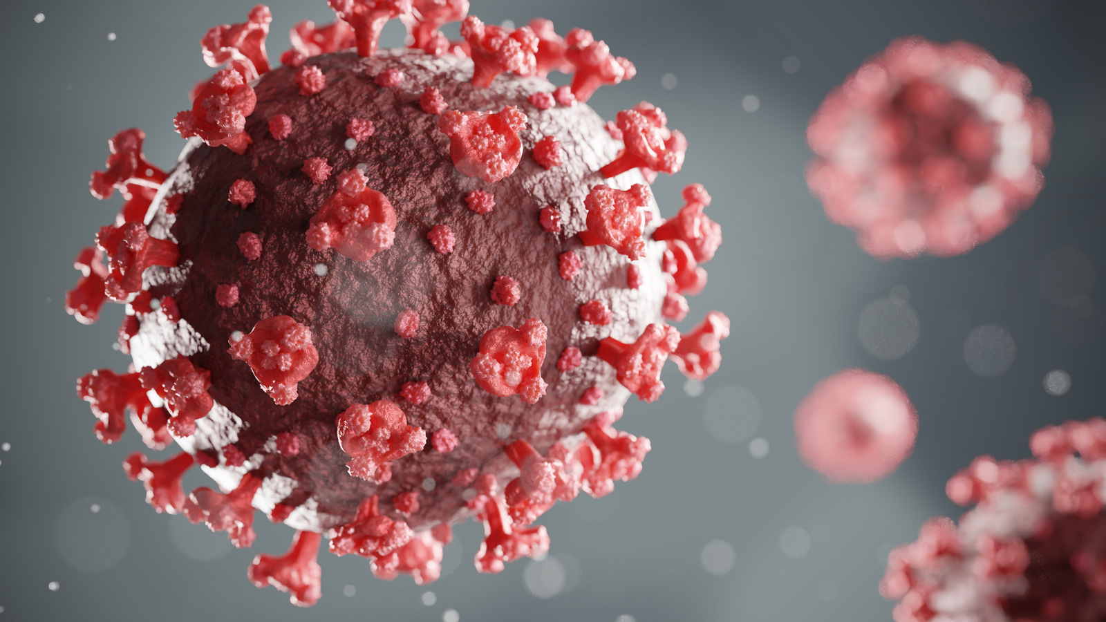 A image of Covid-19 virus 