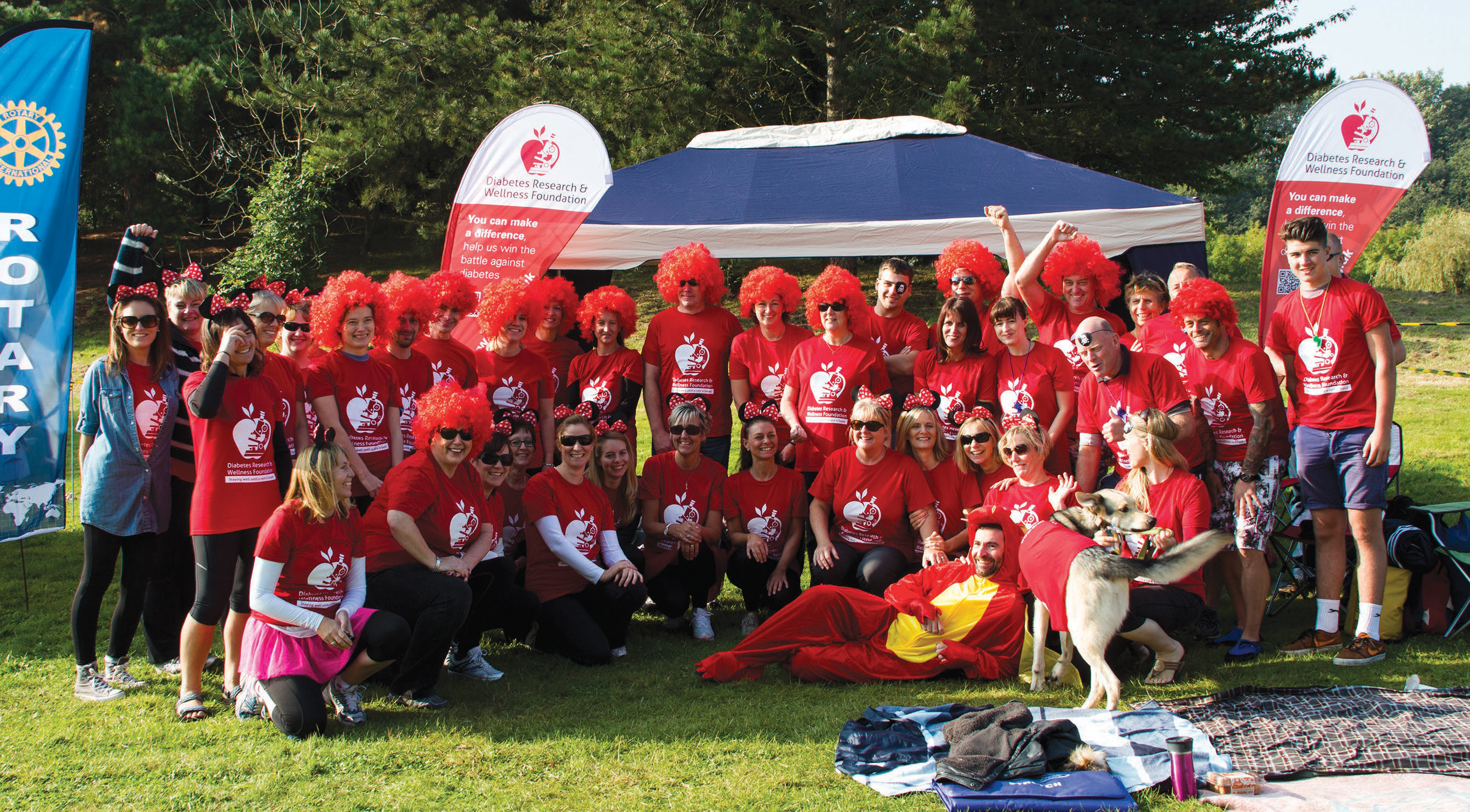 Drwf Annual Report Cover Image